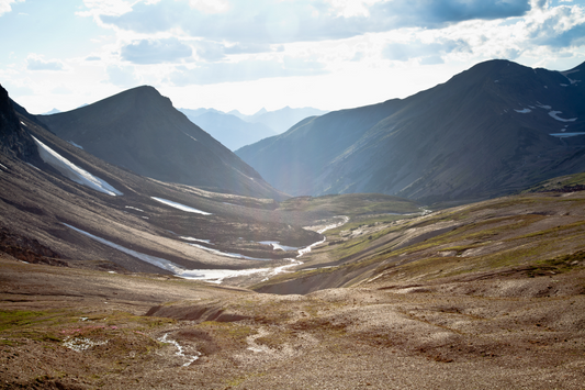 Hit the Trail: Five Great Hikes to Explore in the New Year