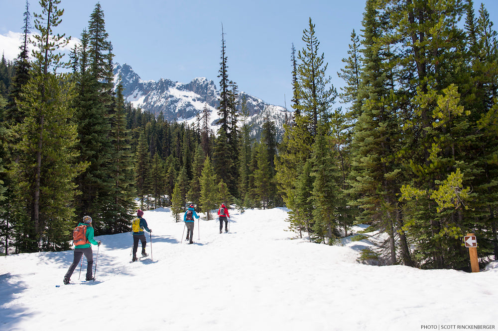 Choosing the Right Snowshoes for Every Adventure