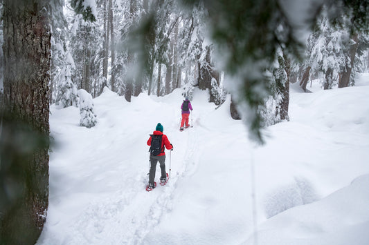 snowshoeing in backcountry