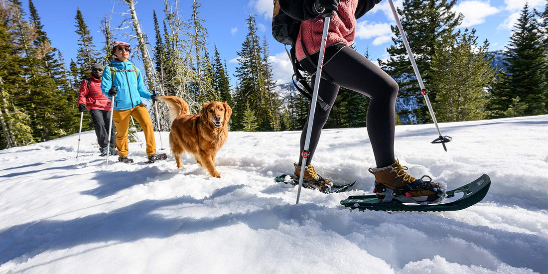 Hiking a snowy trail on the Evo Trail snowshoes with Paraglide bindings.