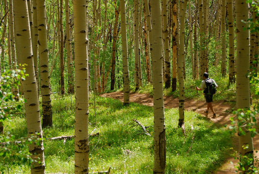 Thru the Lens: The Continental Divide Trail