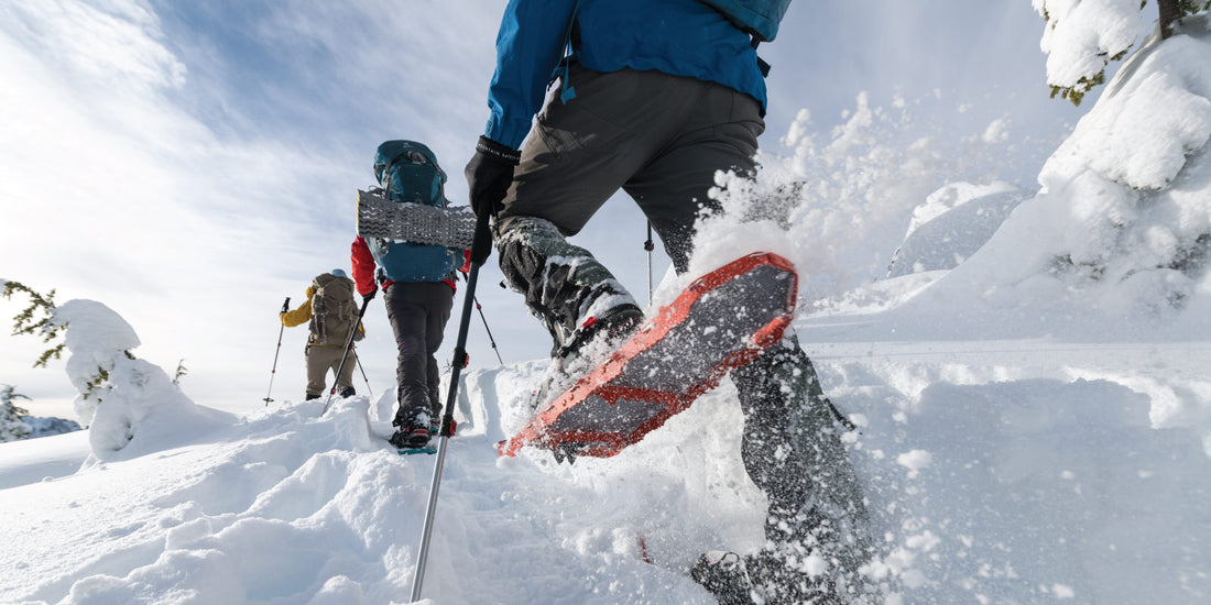 Snowshoers wearing MSR Lightning Ascent