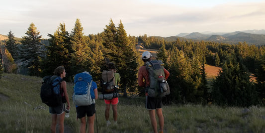 4 backpackers looking at mountains