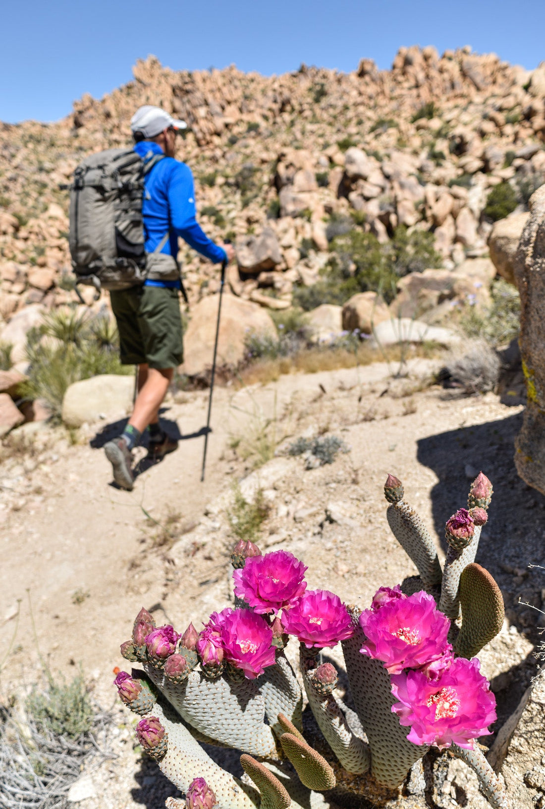 Second Chances In Joshua Tree