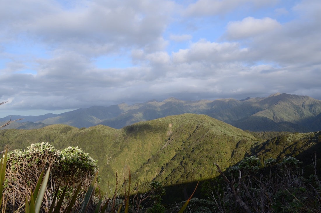 New Zealand's Te Araroa Trail: Tramping vs. Hiking