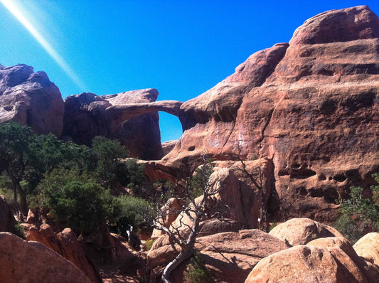 Moab’s 5 Best Hikes: You Don’t Have To Be Extreme To Get Moab’s Best