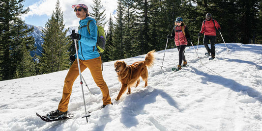 Snowshoeing with dog