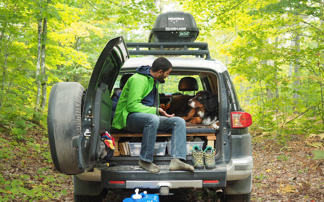 How to Successfully Camp in Your Car