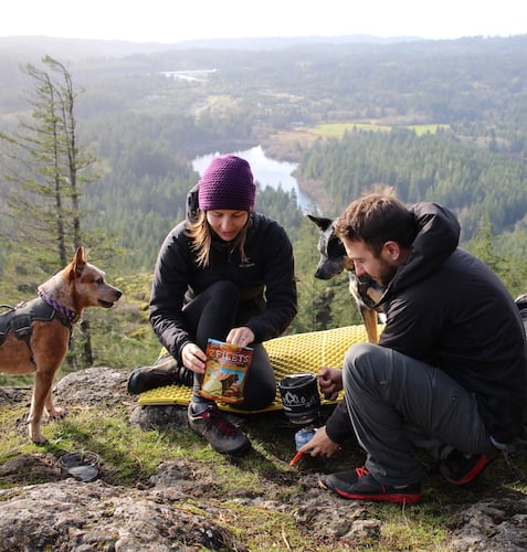 The Origins of the West Coast Heeler Pack