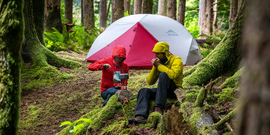 fall camping in woods