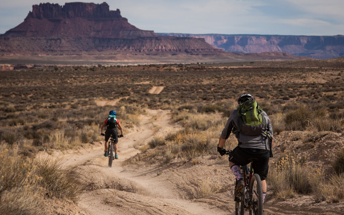 Mountain Biking the Maze