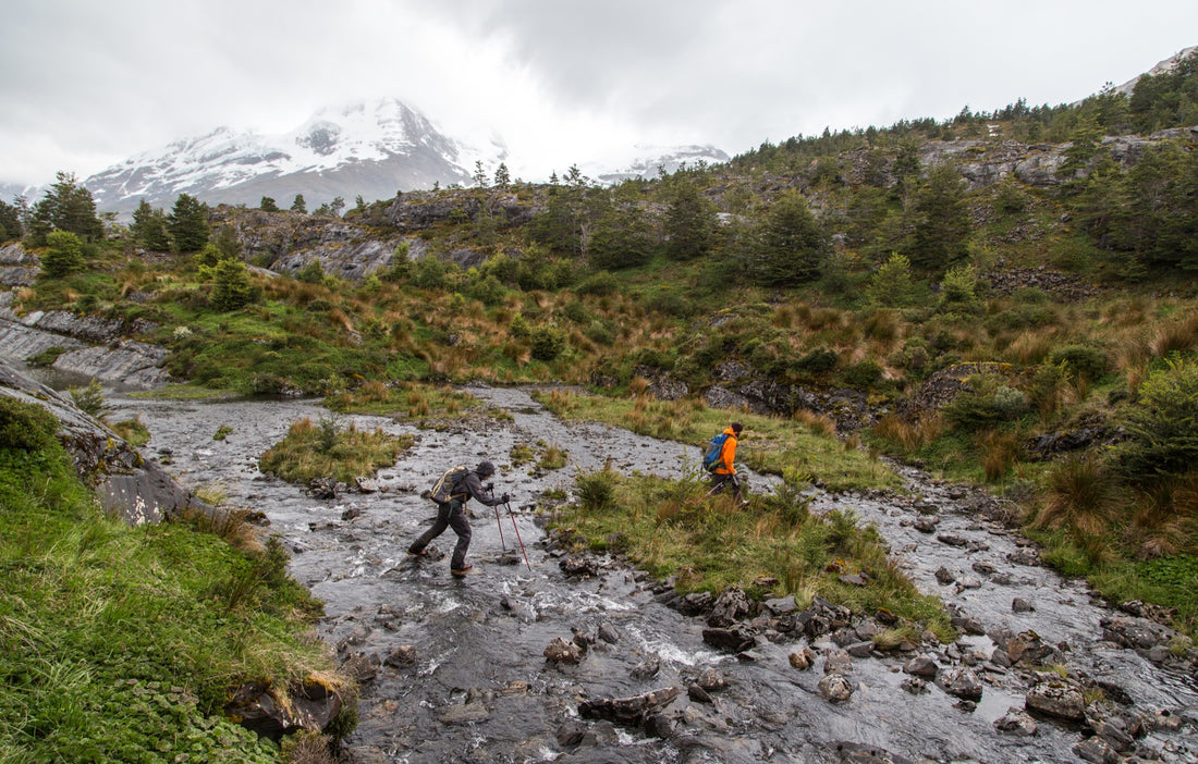 Patagonia