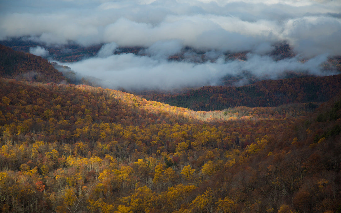 Adventuring in the Great Smoky Mountains