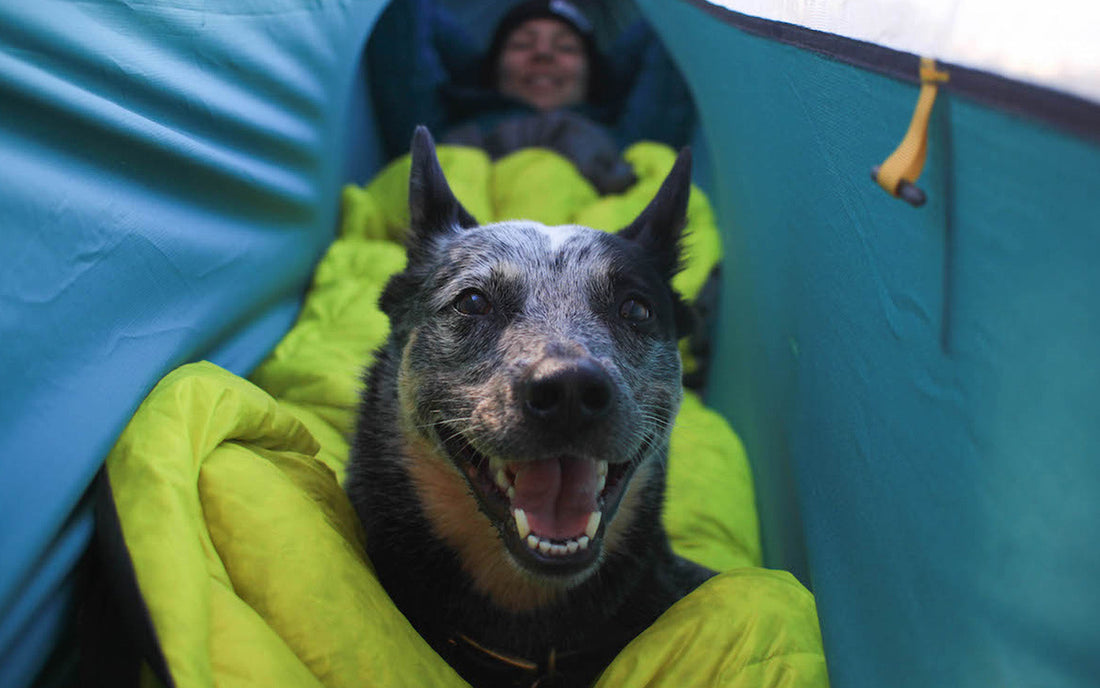 Solo Missions Off The Ground: Backpacking with The Hammock House