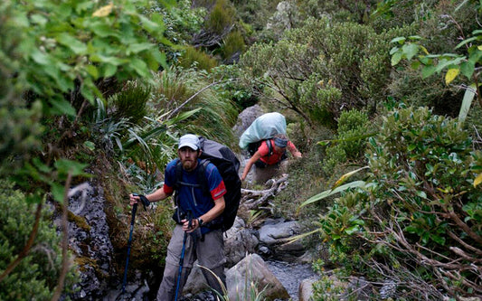 Tips for Te Araroa Long Distance Trail