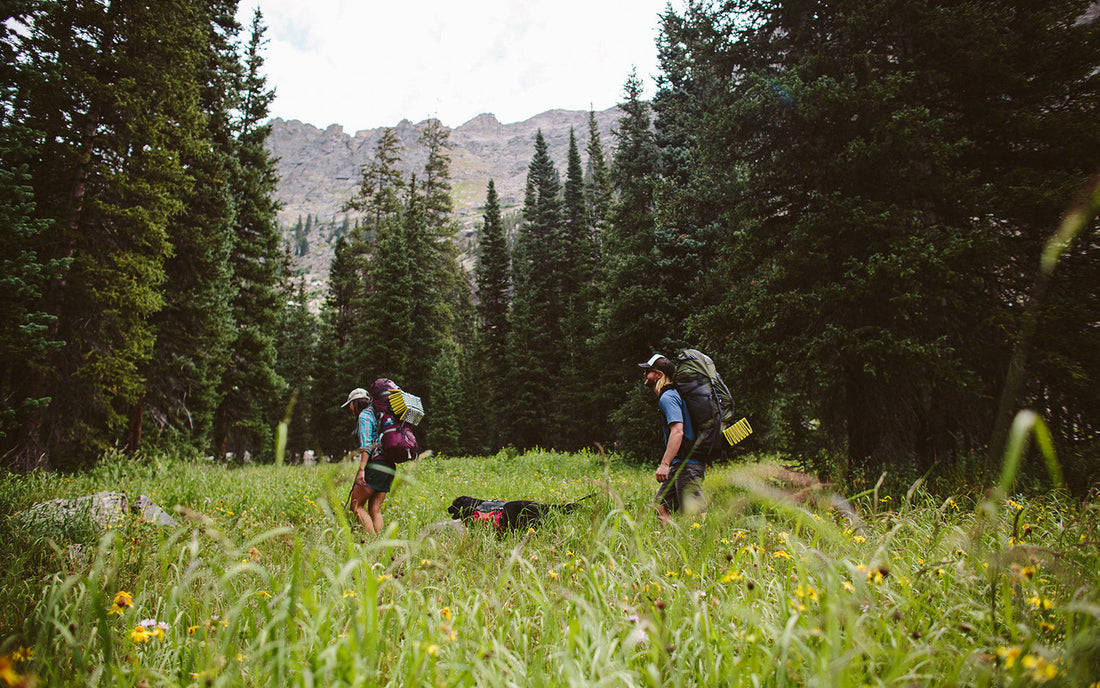 Uniting For Public Lands