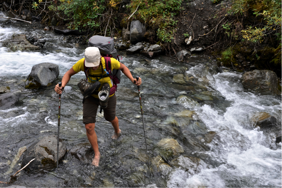 MSR SUMMER TREKKING POLES WILL CHANGE YOUR EXPECTATIONS OF WHAT A POLE SHOULD BE