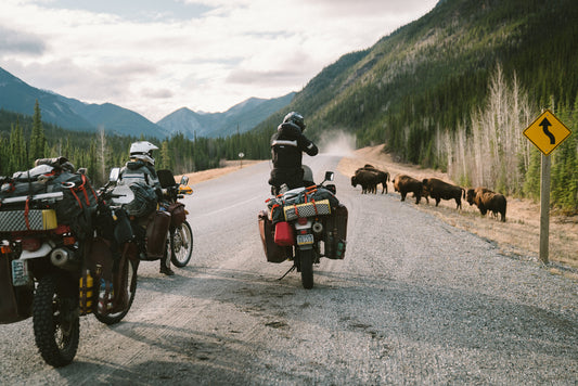 Staring Down The Long Road: Stories From The Pan-American Trail