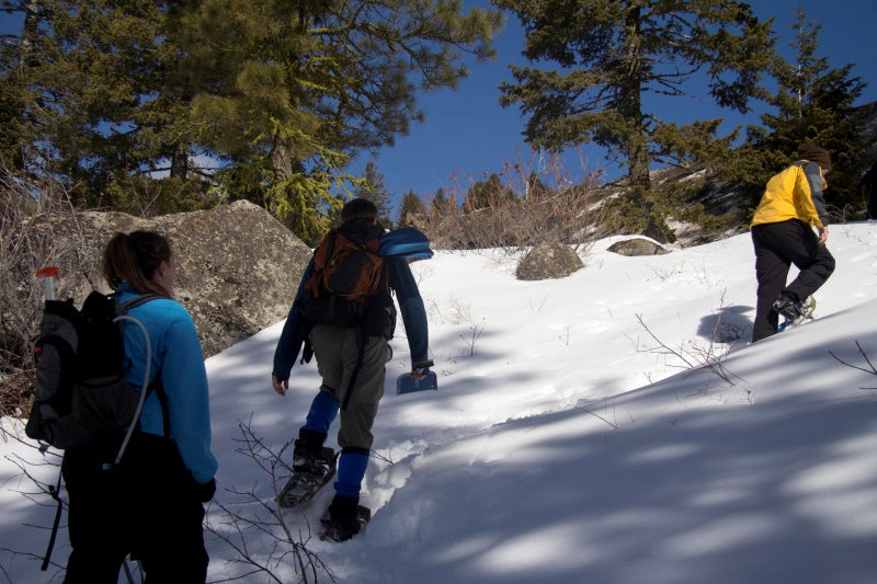 SnowSchool Turns Students into Snow Scientists