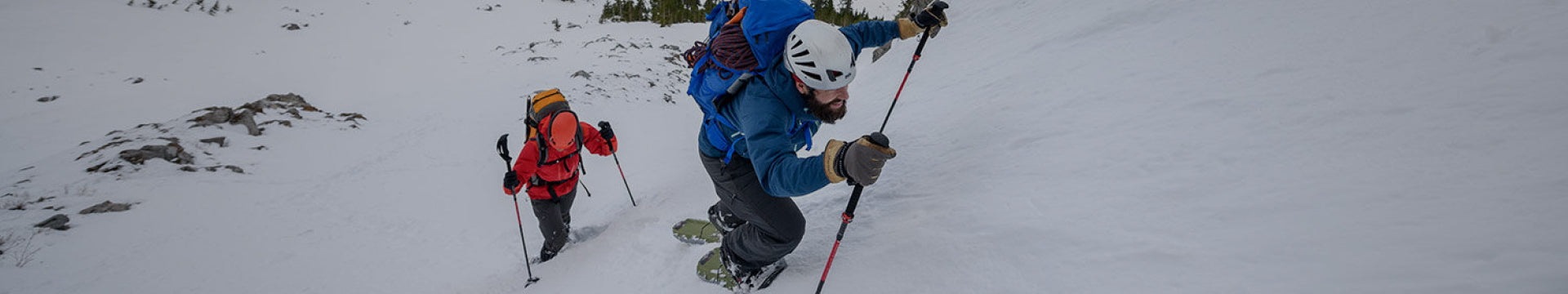 Backcountry Skiing & Hiking Poles