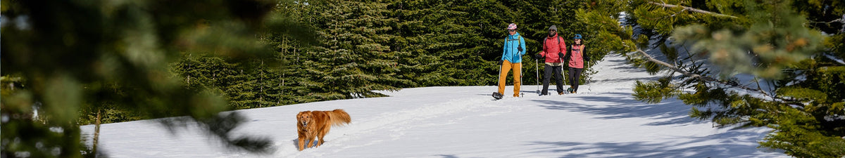 Snowshoe Accessories