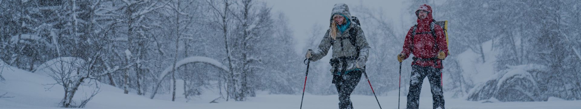 Snowshoe Kits