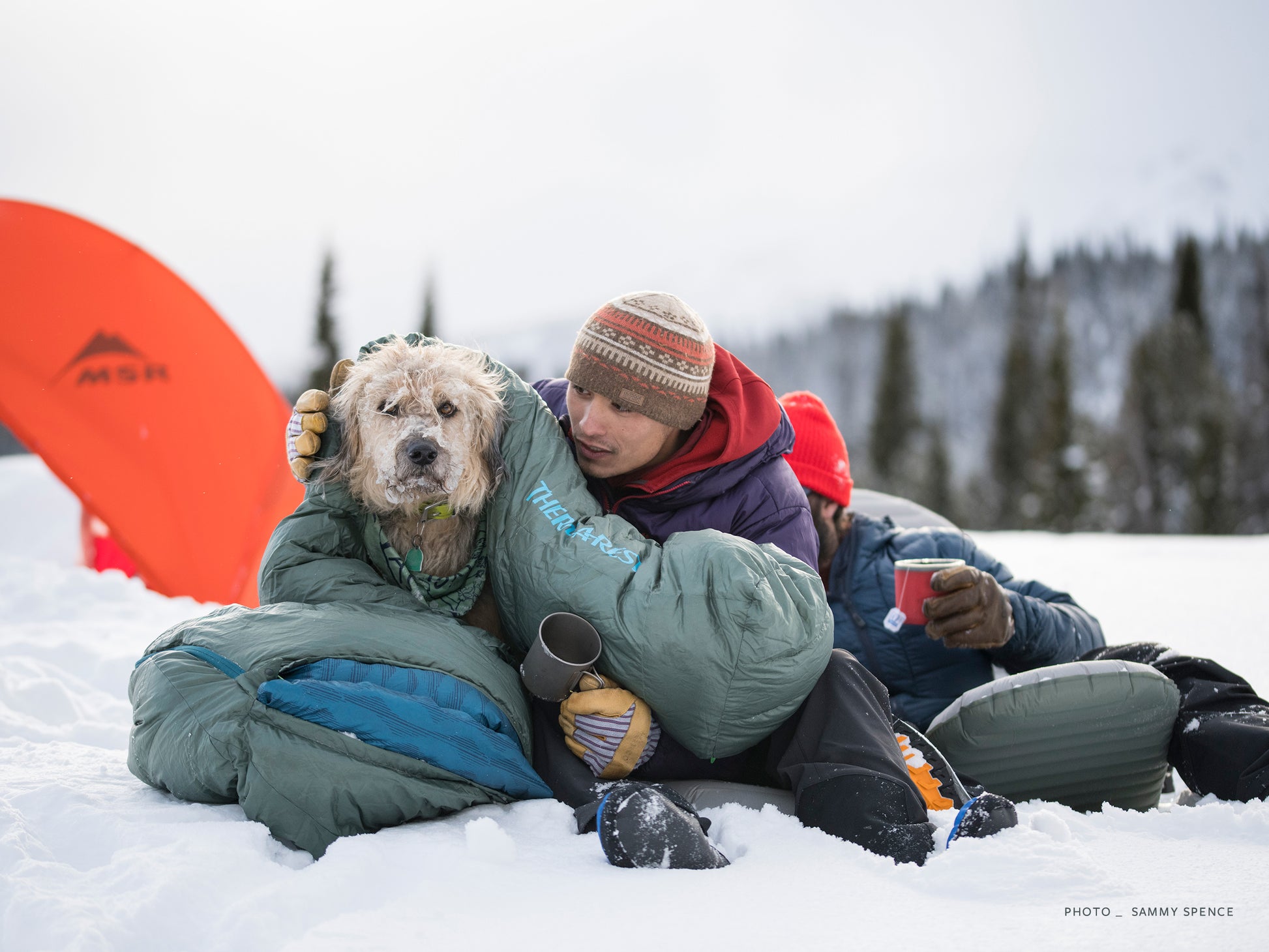 Therm-a-Rest® Questar™ Sleeping Bag