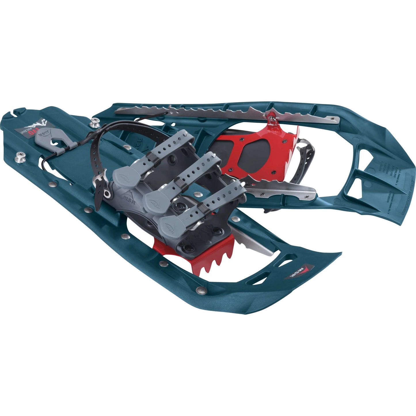 Evo™ Ascent Snowshoes | Teal