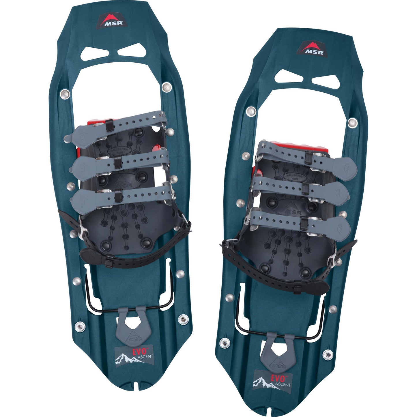 Evo™ Ascent Snowshoes | Teal