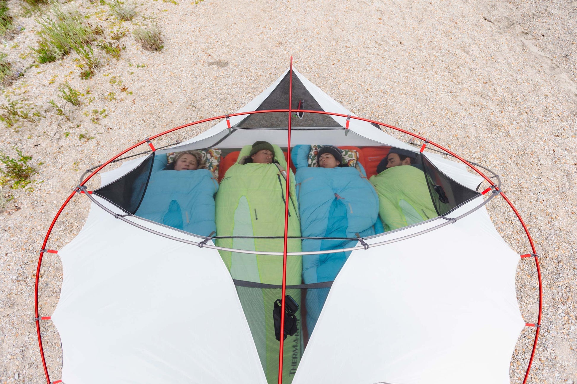 msr 4 man tent MSR Elixir 4 Tent
